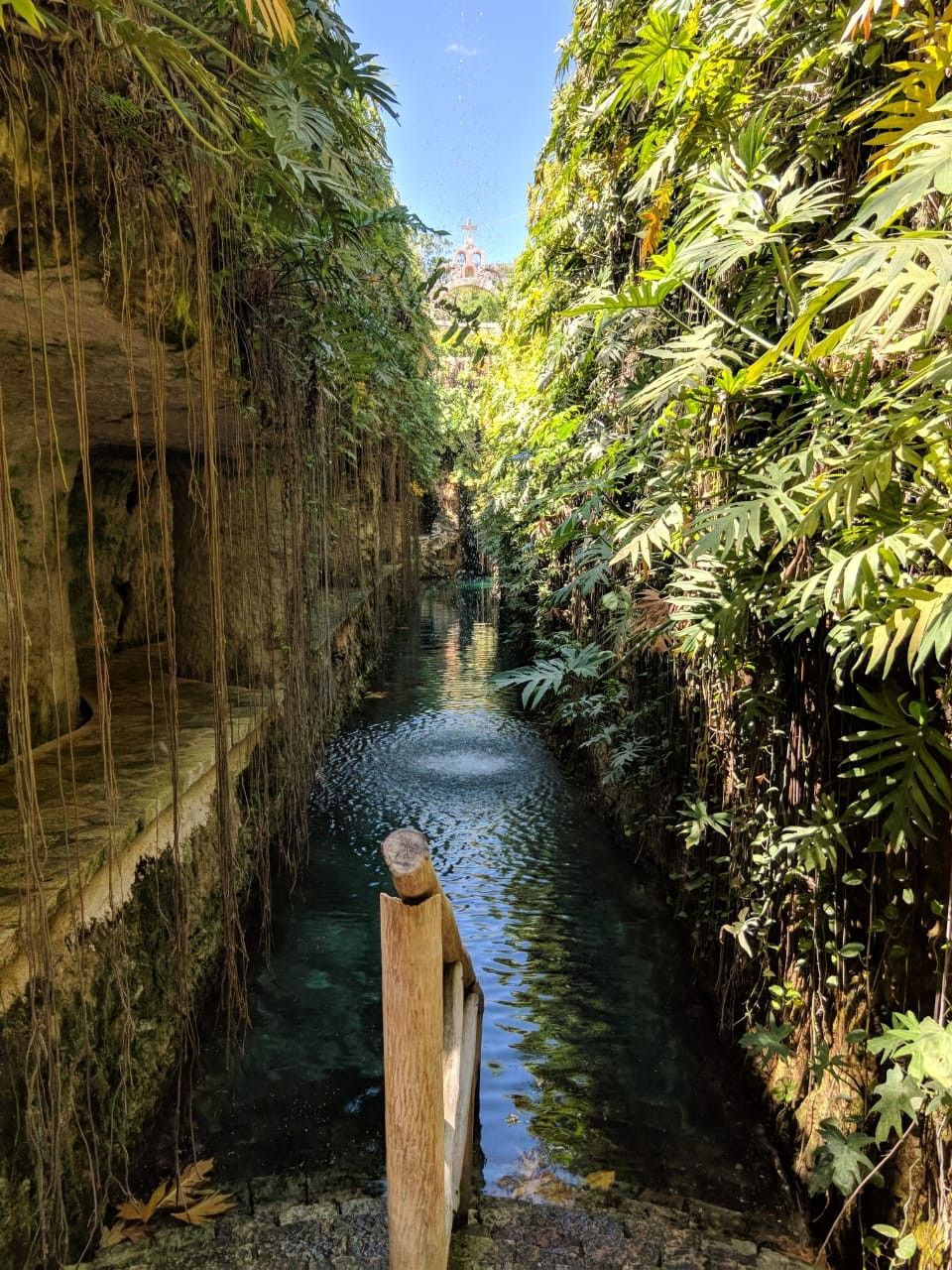Disfruta de la temporada decembrina en estos cenotes de yucatán la revista del sureste mx D5Acb0D993B8464Fc1E7A24A5Bbd7Bac
