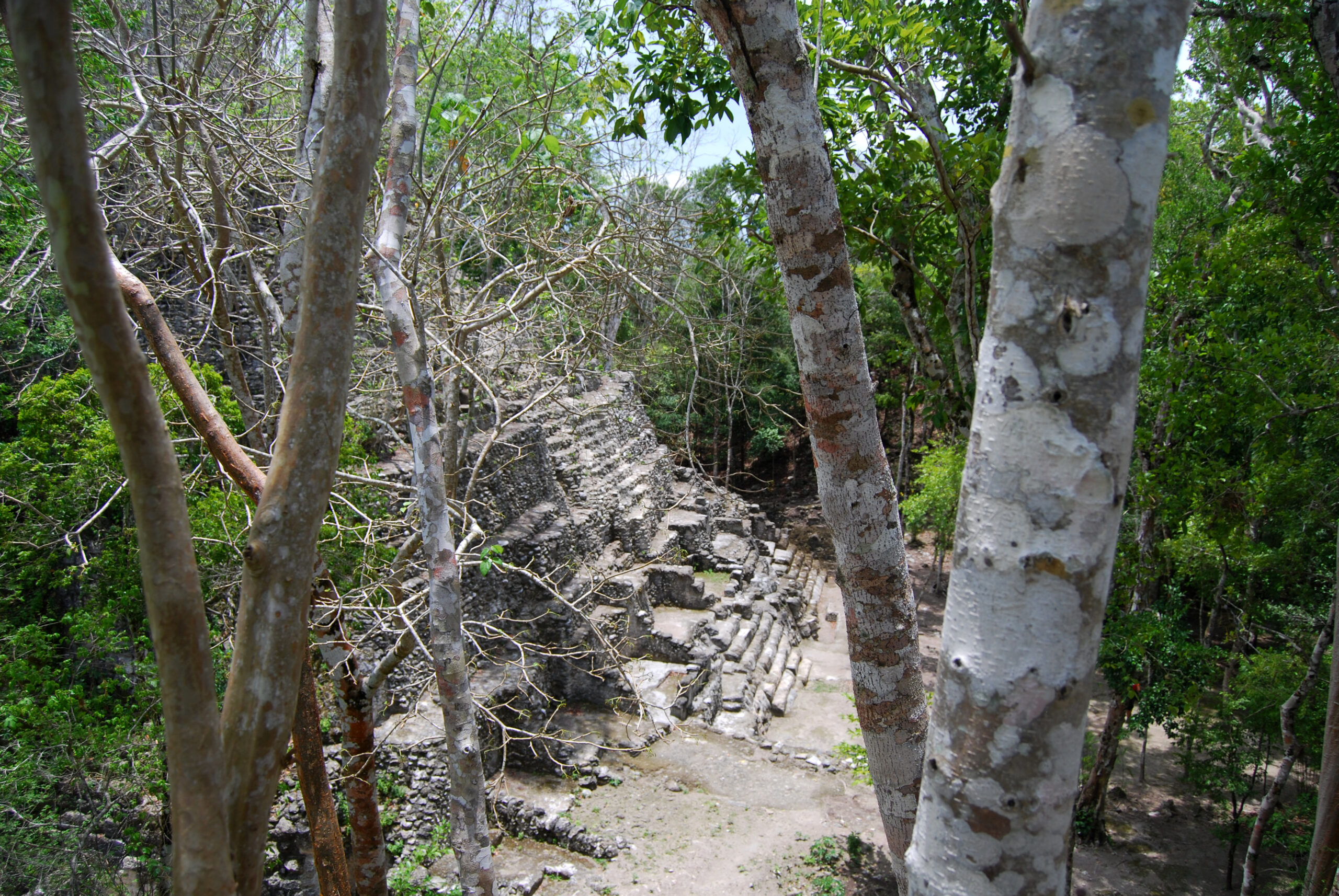 El mirador, una misteriosa ciudad maya en guatemala la revista del sureste mx El Mirador 4 Scaled