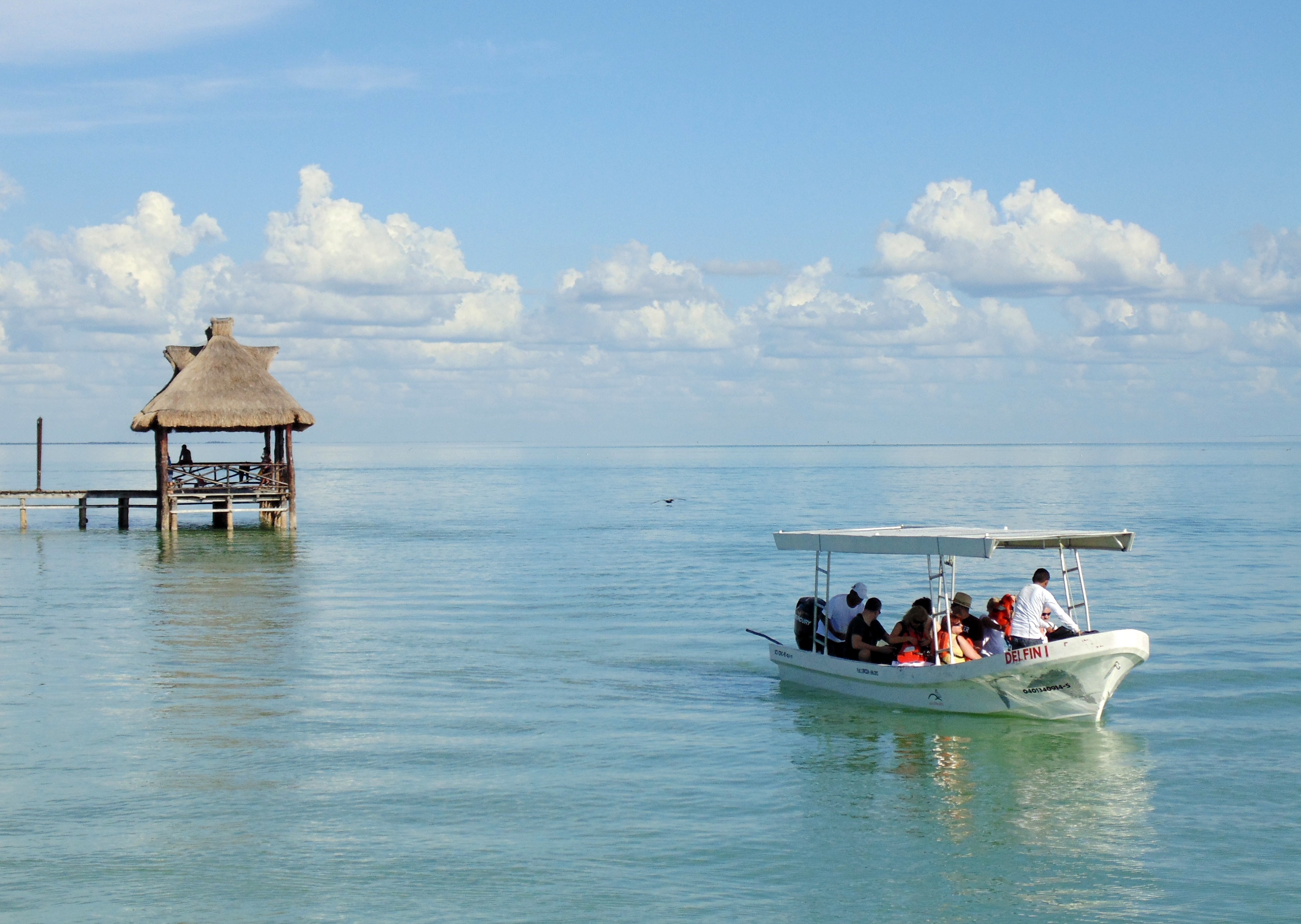 Isla aguada, el pueblo mágico de los delfines en campeche la revista del sureste mx Isla Aguada 5 1