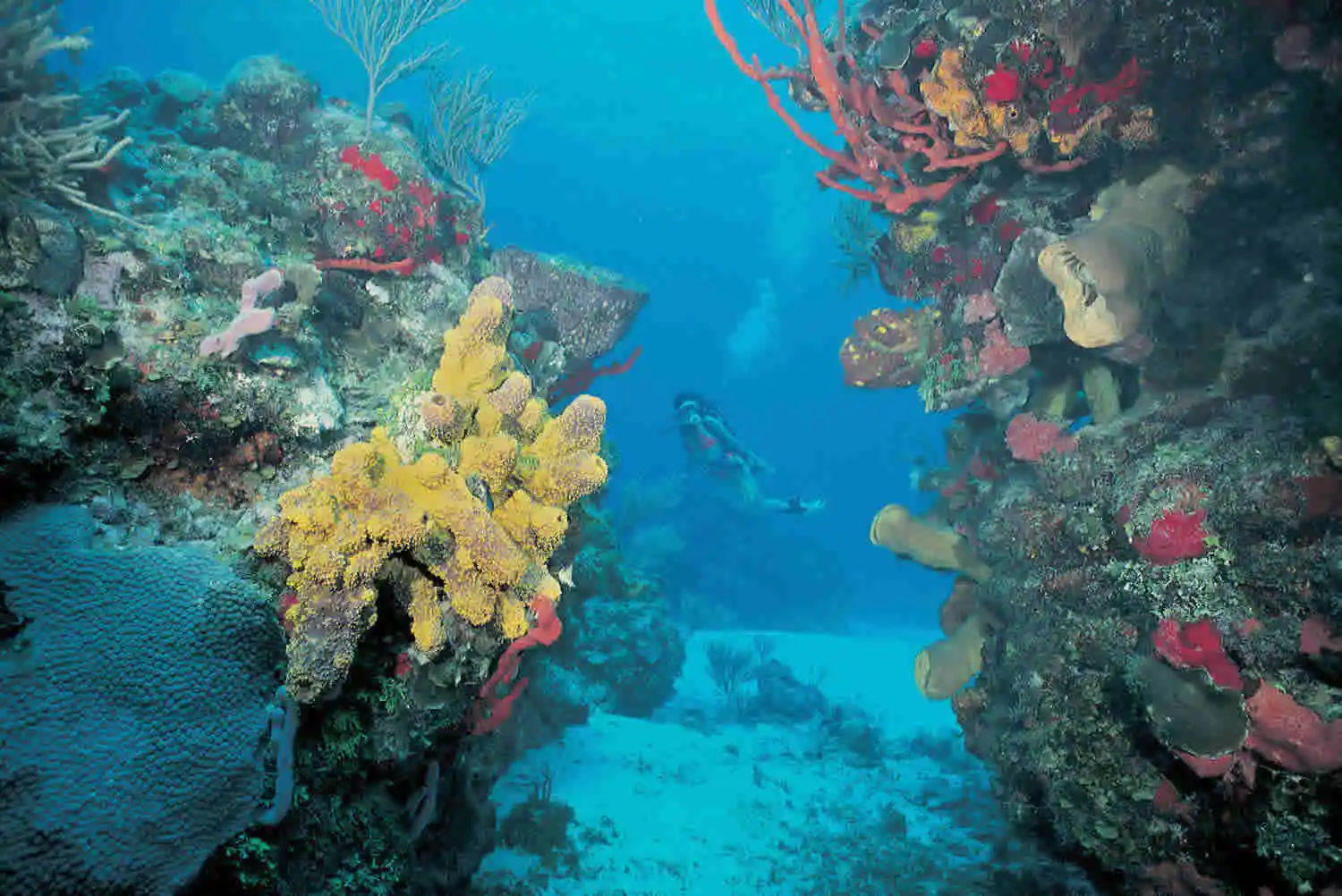Arrecife1