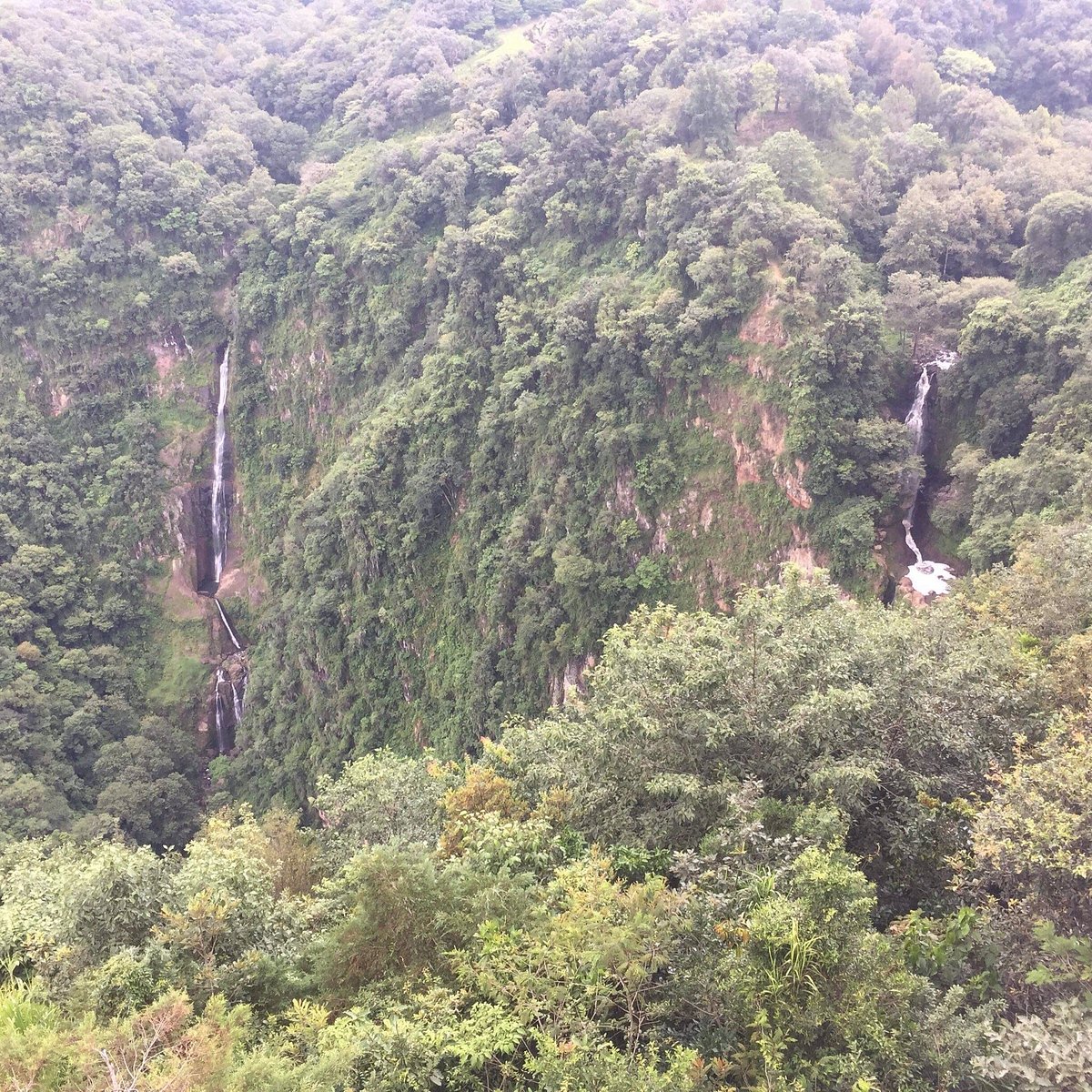 cascadas de naolinco