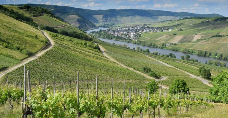 F768X400 14375 58278 5050