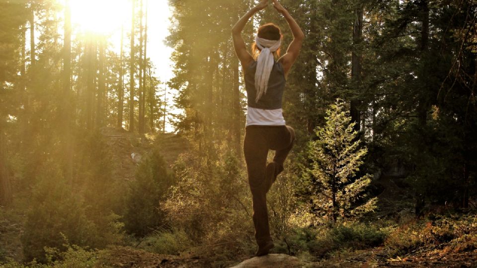 F960X540 13869 87944 15