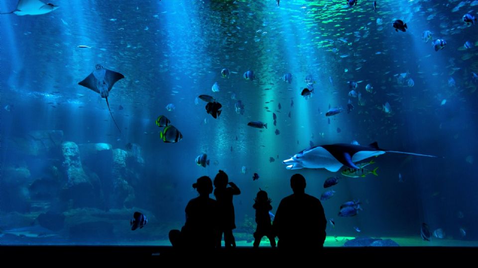 F960X540 14478 88553 15