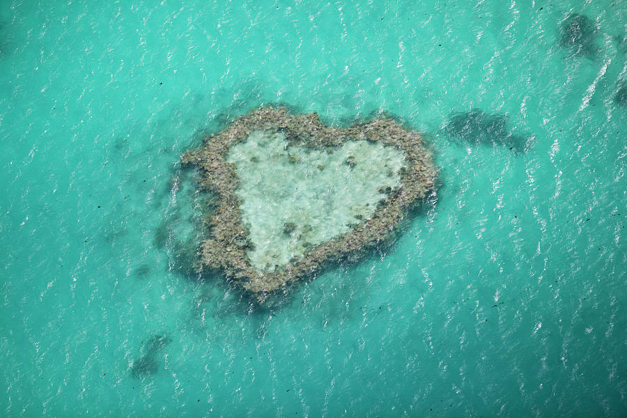 Heart Reef Great Barrier Reef Gallo Images