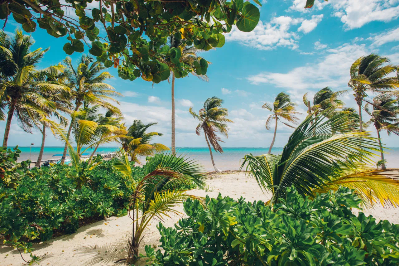 Playas Virgenes Sur Mexico Xcalak Shutter