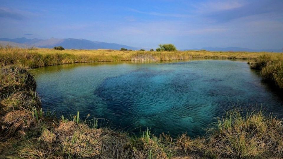 Poza Azul