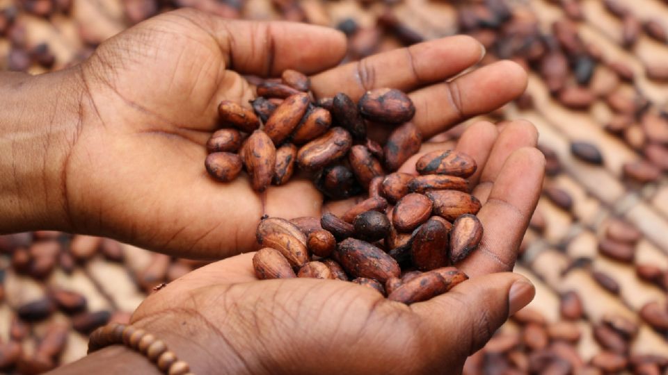 Ruta Chocolate