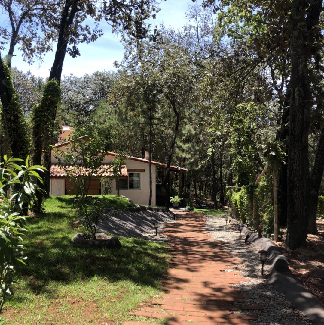 305188009 201281475575923 2861724200785096760 N