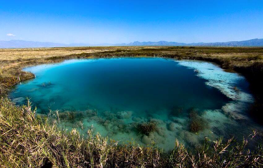 Cuatro Cienegas6