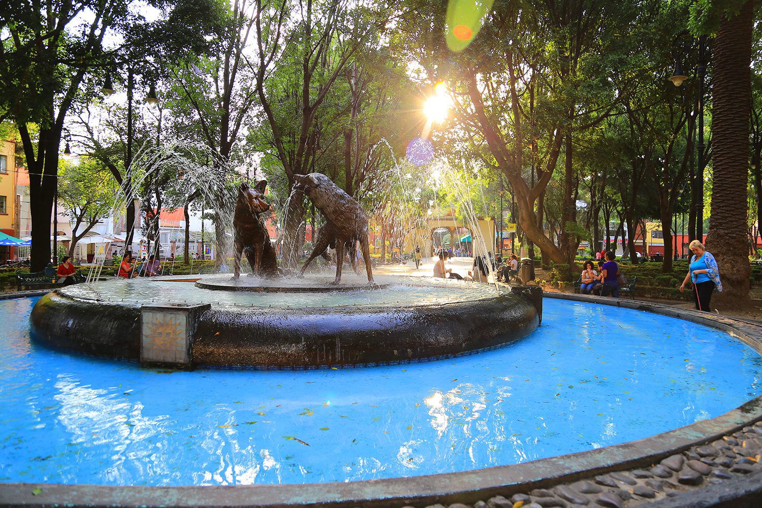 Vive la ciudad de méxico sobre tu bici y descubre increíbles lugares la revista del sureste mx Coyoacan