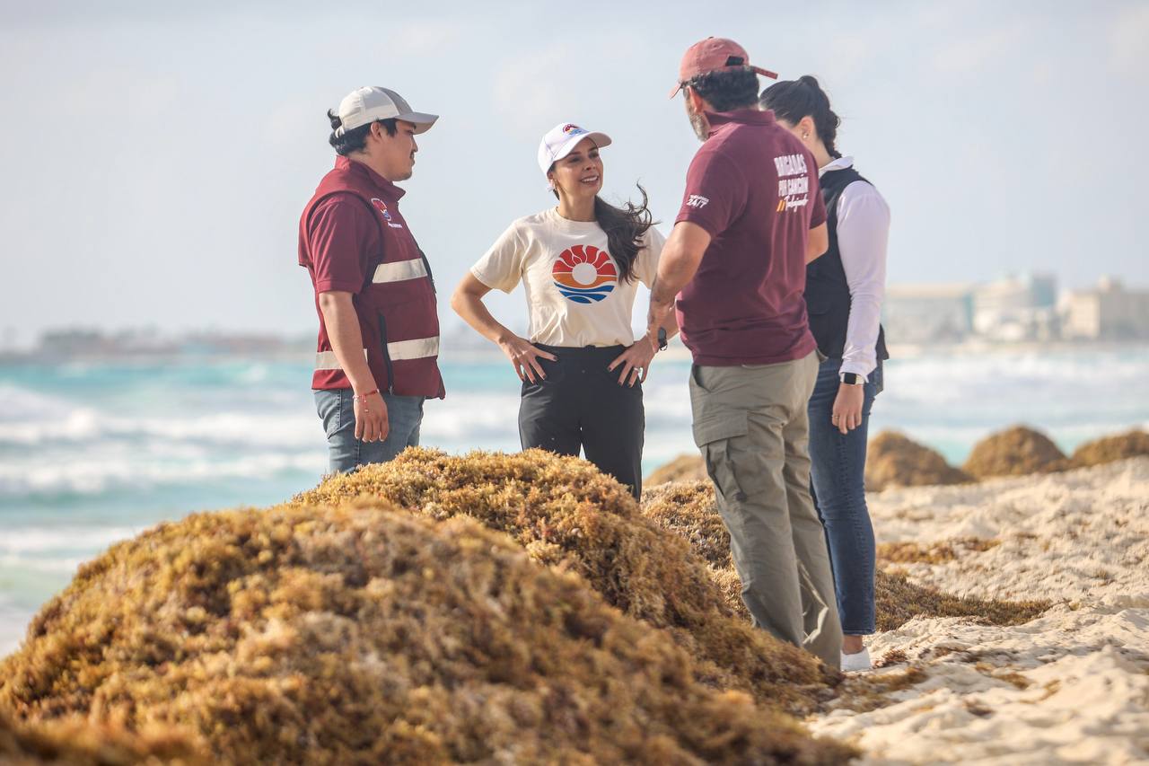 Recala fuera de temporada sargazo en Playa Delfines