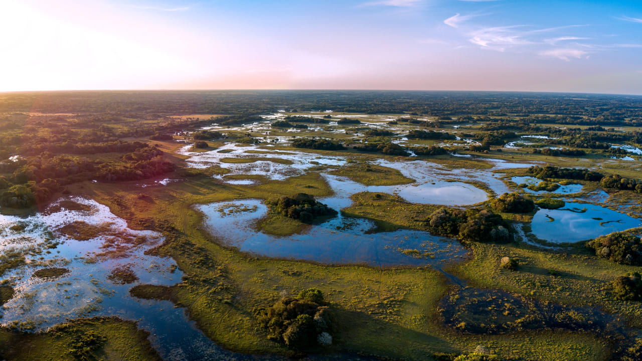 Pantanal Brasil