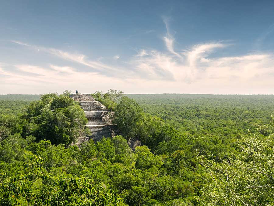 Reserva De La Biosfera Calakmul Portada
