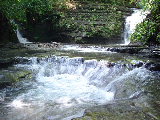 Agua Selva