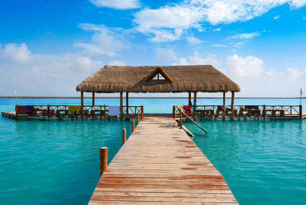 Bacalar1