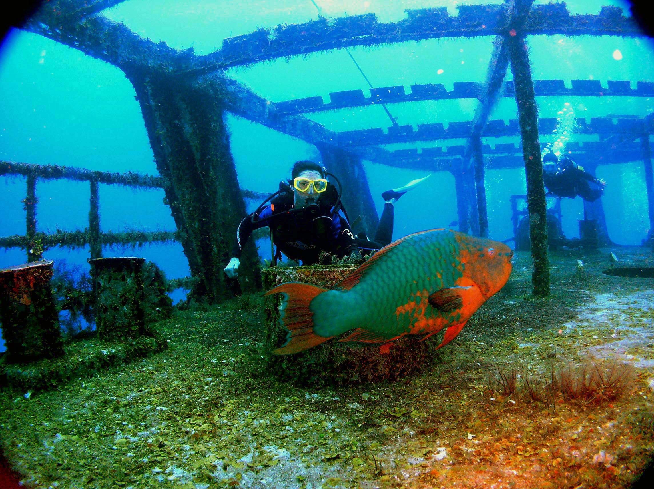 Cancun Wreck Dive Naw