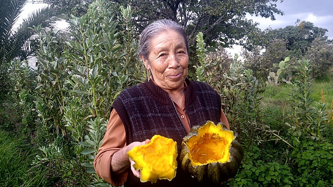 Las cocineras tradicionales que comparten sus deliciosas recetas en youtube ¡conócelas! La revista del sureste mx Grtgwr