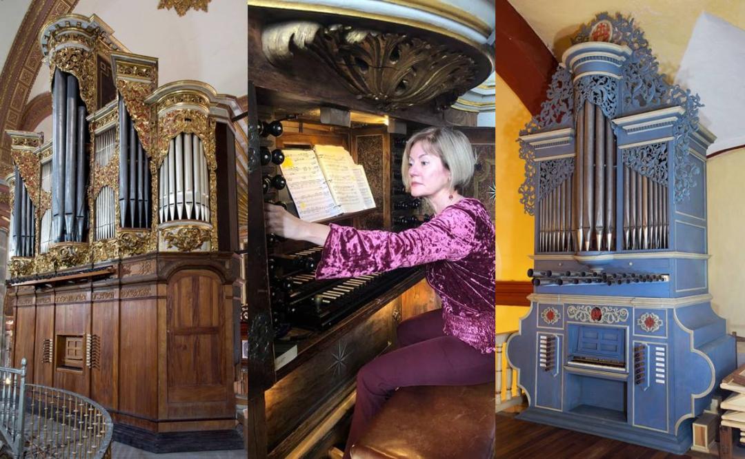 Organos Historicos Conciertos