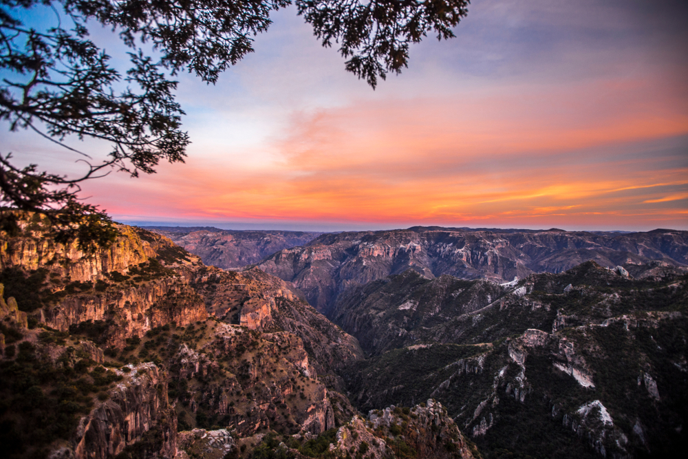 Shutterstock 1251442960