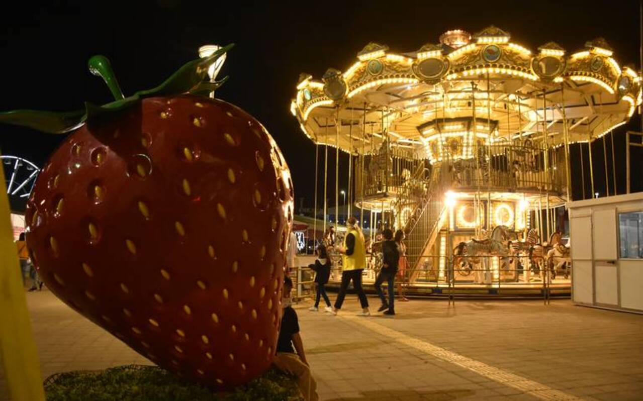 Feria De Las Fresas 1