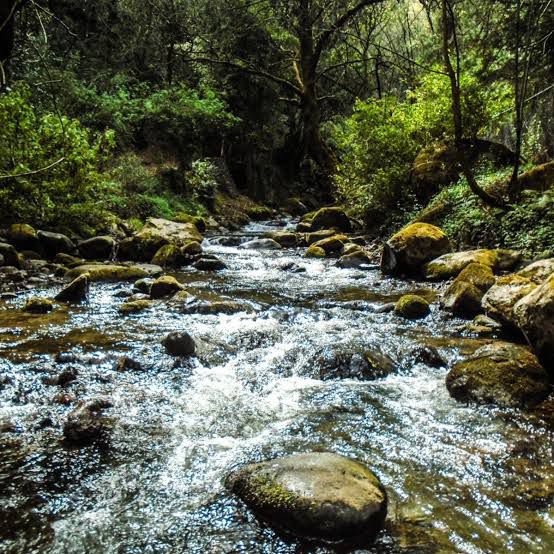Senderismo urbano como nunca antes, descubre las mejores rutas de la CDMX