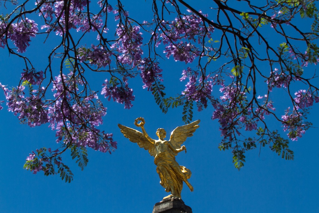 Los mejores destinos de México ideales para conocer en primavera Cada uno de estos destinos de México tienen lugares naturales que se llenan más de vida y colores durante la primavera; también hay festivales y otros eventos que solo están presentes en aquellos meses del año.   https://larevistadelsureste.com