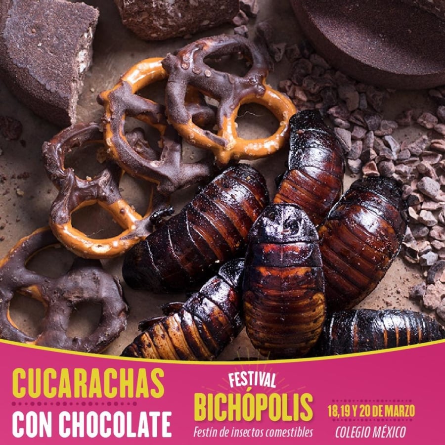 Bichopolis, el festival de insectos comestibles que no te puedes perder en la cdmx la revista del sureste mx Bichopolis 900X900 1