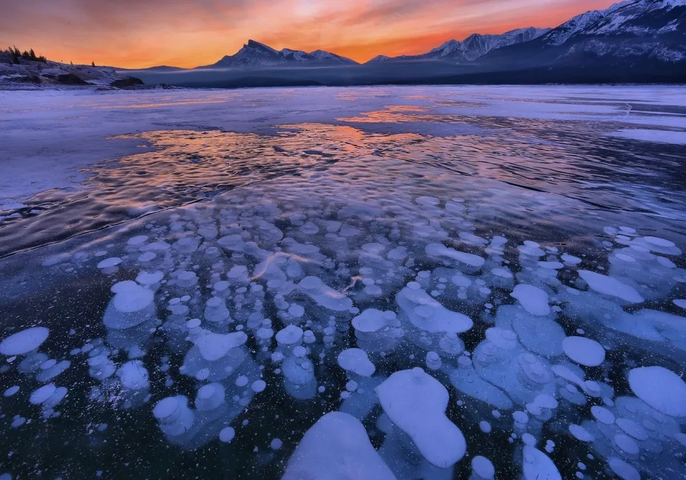 Los mejores destinos en el mundo con fenómenos naturales inimaginables Los fenómenos naturales en estos destinos han llamado la atención de muchos, debido a los espectáculos nunca antes vistos que solo el entorno puede generar.  https://larevistadelsureste.com