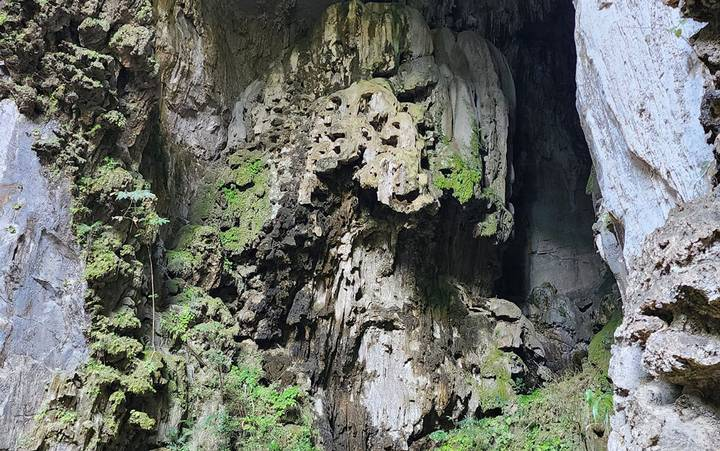 Descubro ‘el boquerón’ y más en la zona zongolica, veracruz la revista del sureste mx Cueva Golondrinas