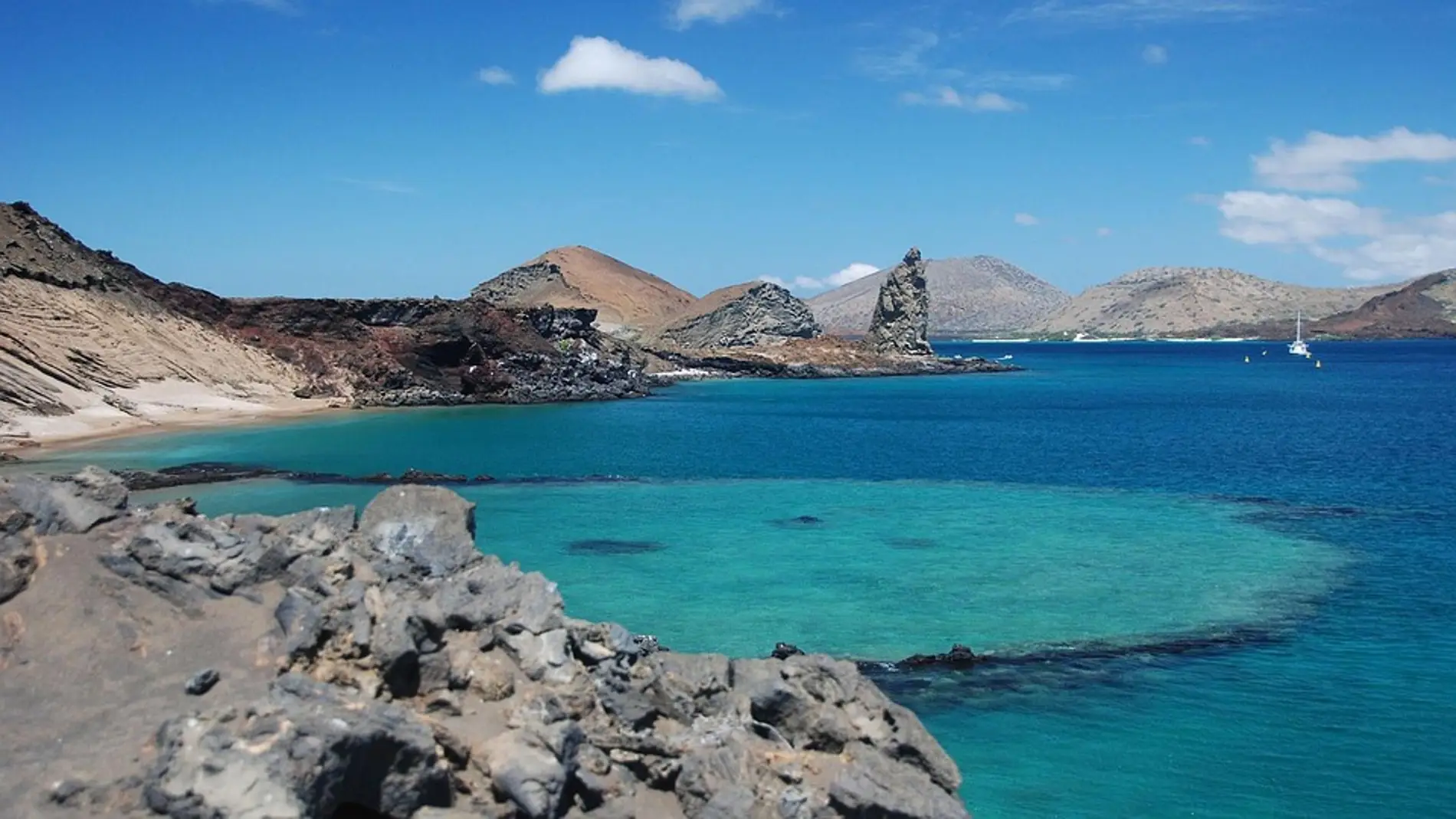 Islas Galapagos Lugar Que Visito Darwin Estudiar Evolucion Fauna Flora 98
