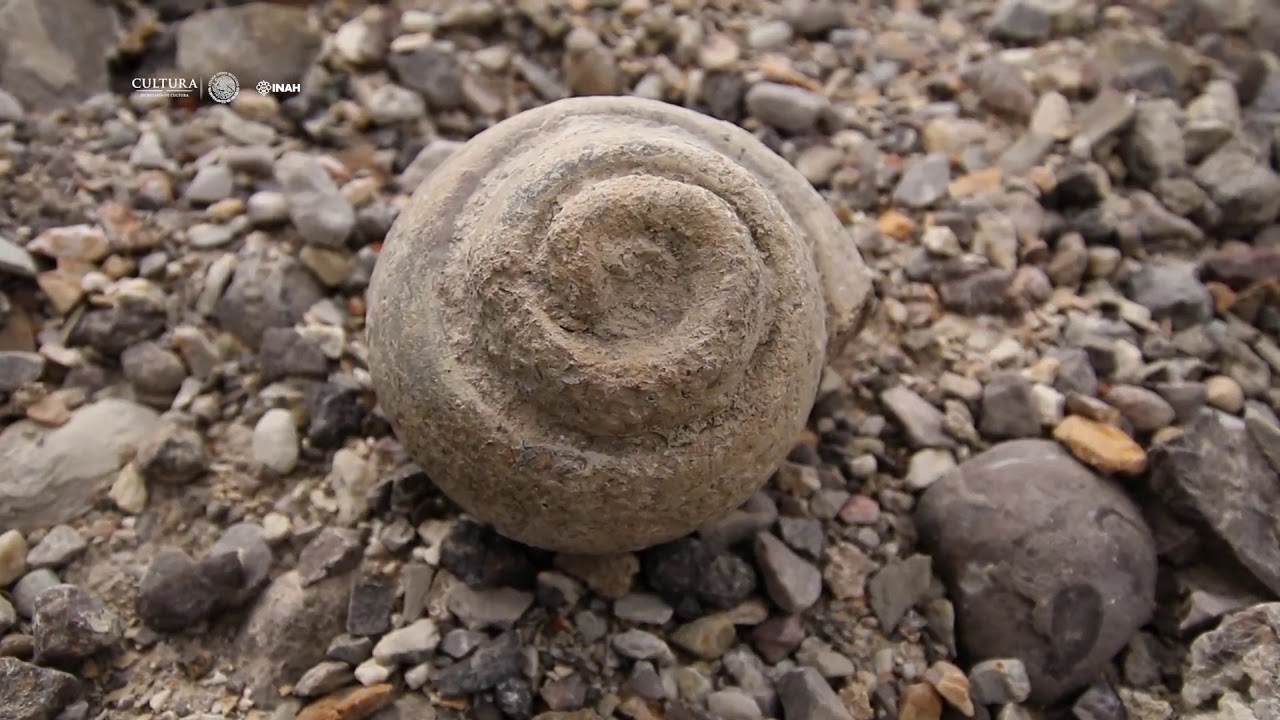 Maxresdefault 1
