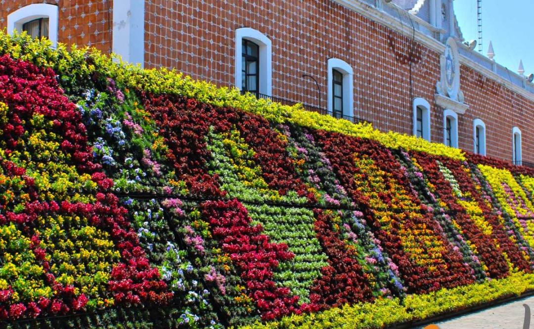 Mosaico Floral En Atlixco