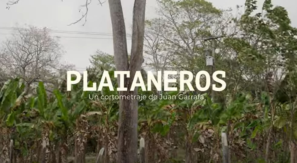 Plataneros Juan Garrafa