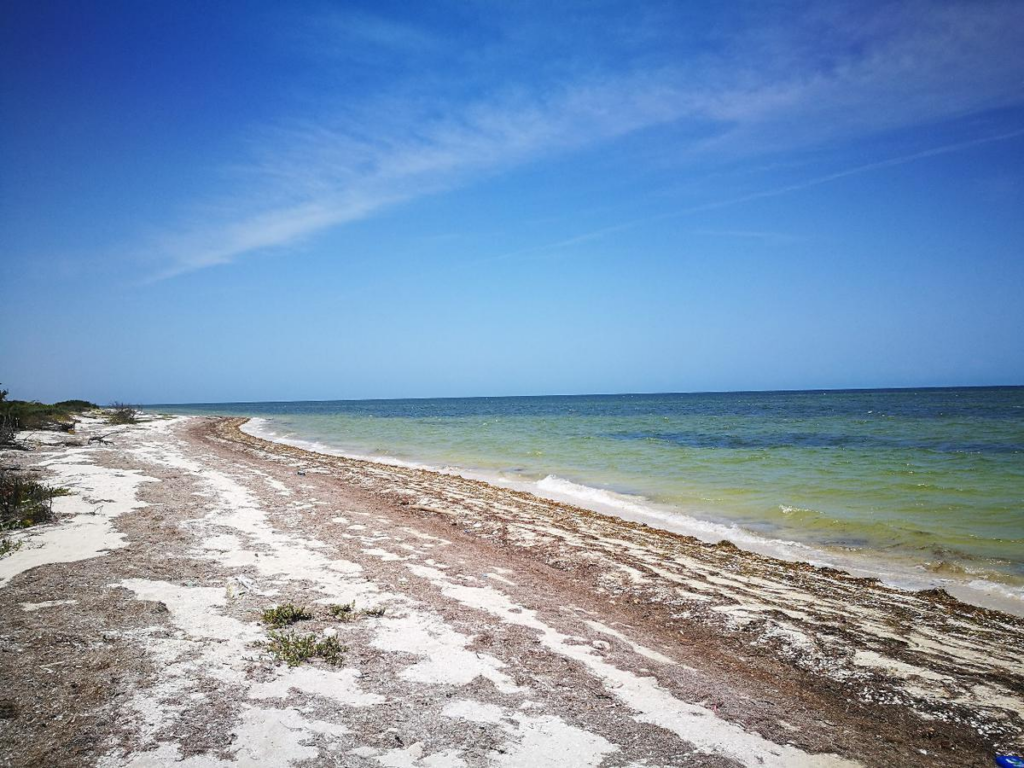 Playa Marmotas, belleza natural escondida en Yucatán