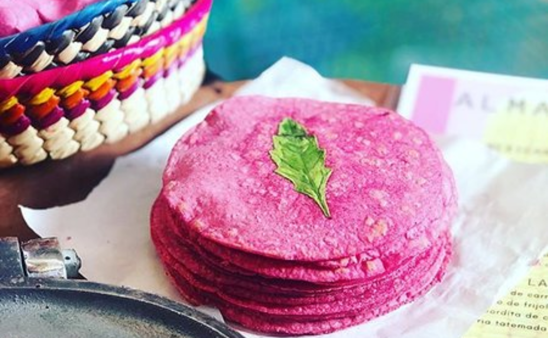 Tortilla rosa de tuna: una dulce delicia que se produce en la mixteca de oaxaca la revista del sureste mx Tortilla