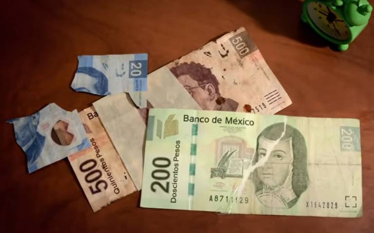 ¿Que Hacer Con Los Billetes Rotos Estos Son Los Casos Donde Pierden Valor