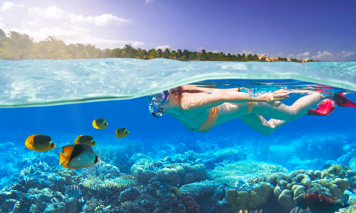 ¿Te Gusta El Snorkel En Estas Playas De Mexico Lo Puedes Hacer 1 1