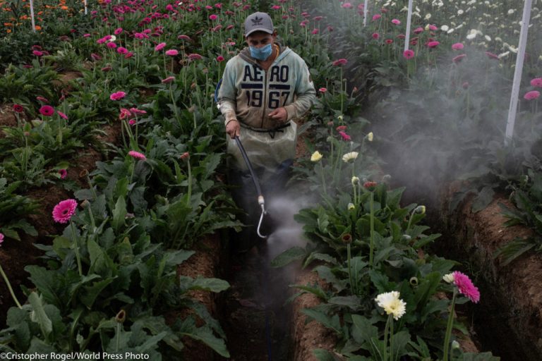 Cristopher Rogel World Press Photo
