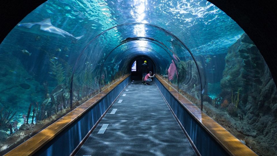 Acuario Mar