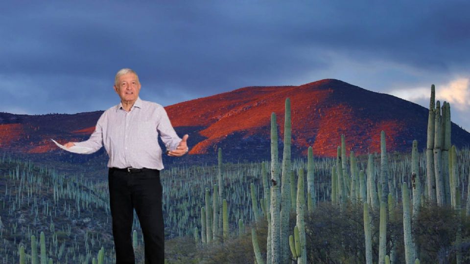 5 sitios donde comer barbacoa en Hidalgo: uno es el favorito de AMLO