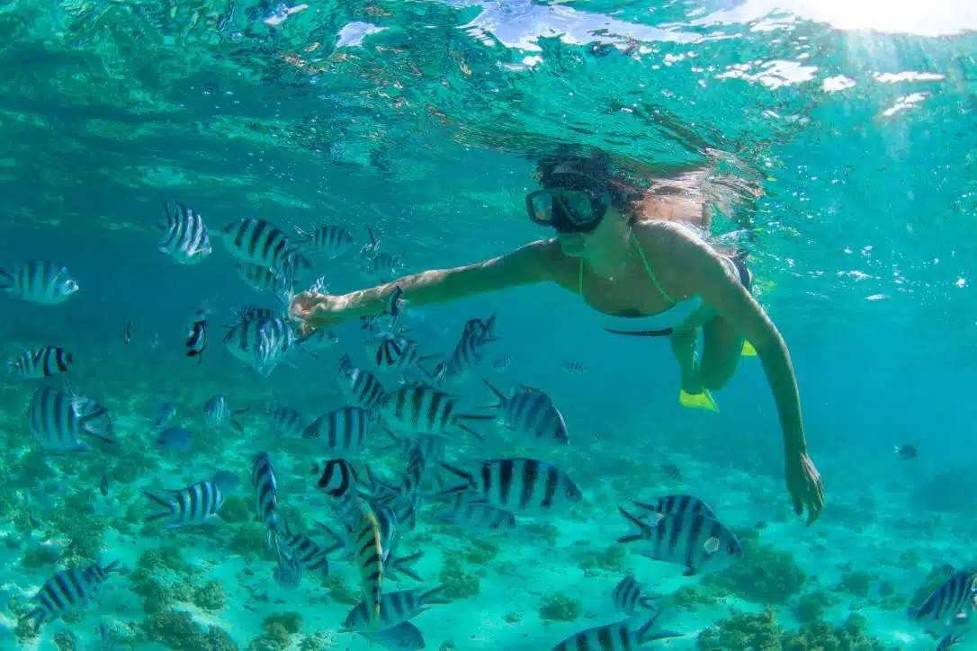 Cabo San Lucas