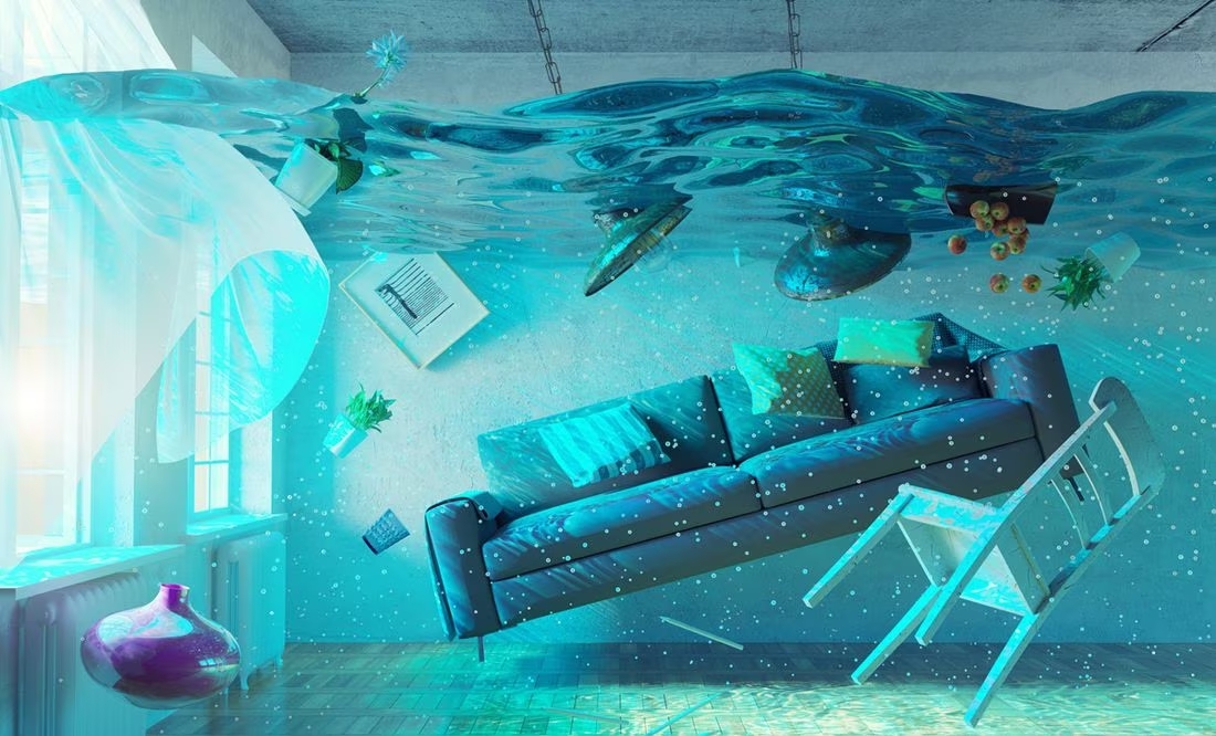 Las 10 ciudades que se verán más afectadas por el cambio climático la revista del sureste mx Cambio Climatico