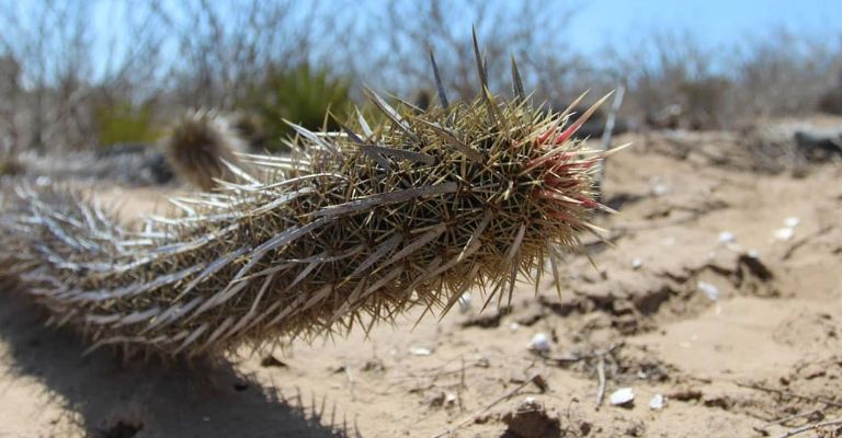 F768X400 18847 62750 5050