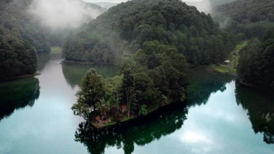 F960X540 19185 93260 7