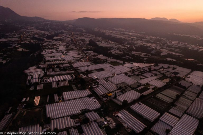Cristopher rogel: el mexicano que ganó el world press photo 2023 (fotos) la revista del sureste mx Fotos Premio