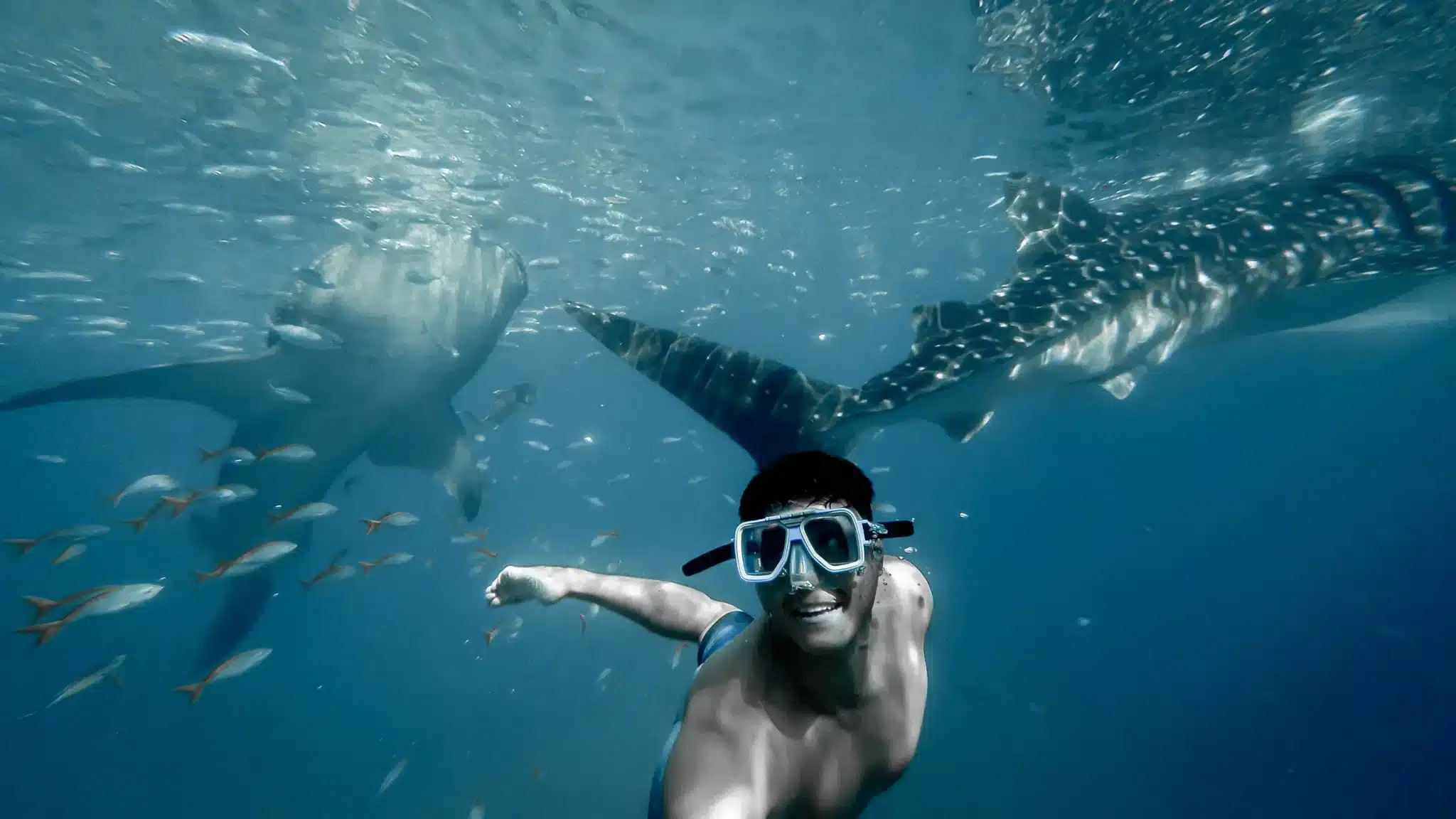 Snorkel En Isla Holbox 2048X1152 1