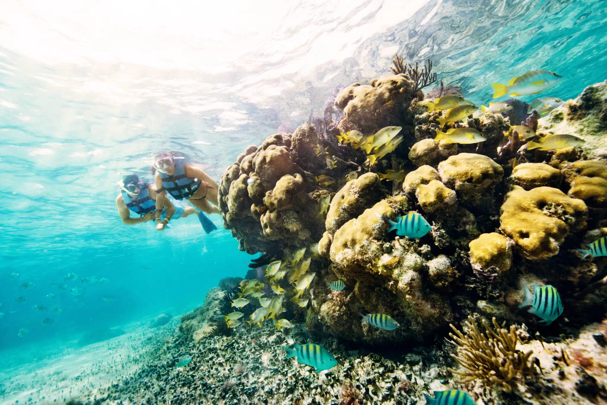 Snorkel En Isla Mujeres