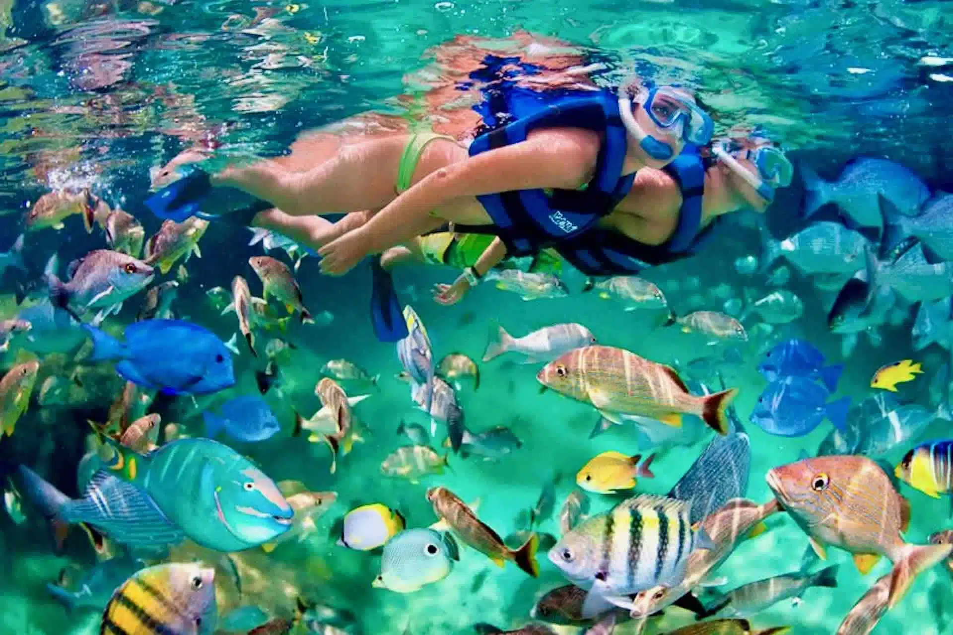 Snorkel