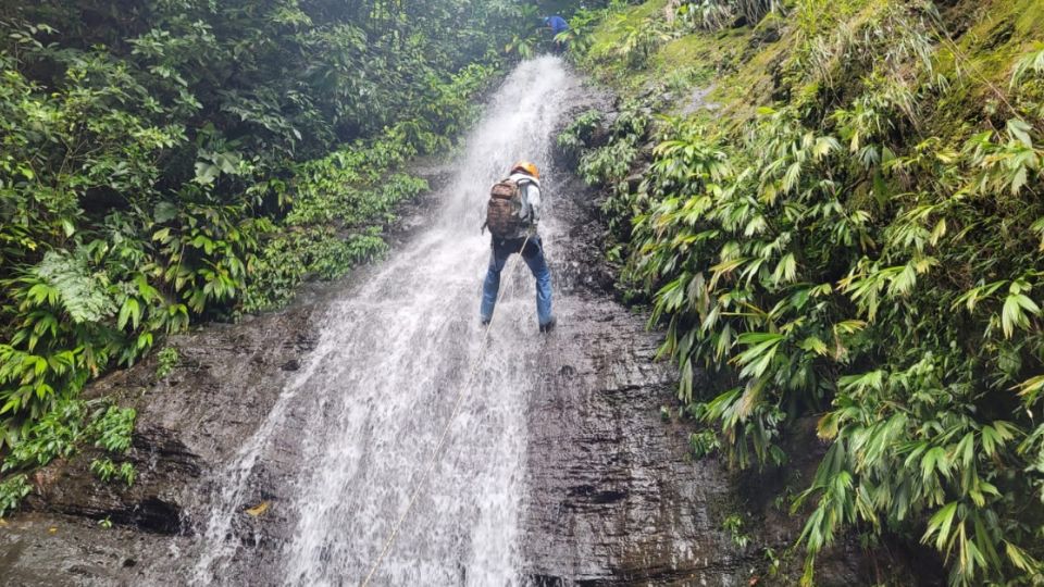 Agus Selva